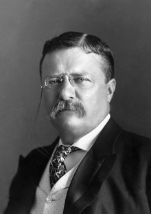 Teddy Roosevelt the 26th President of the United States